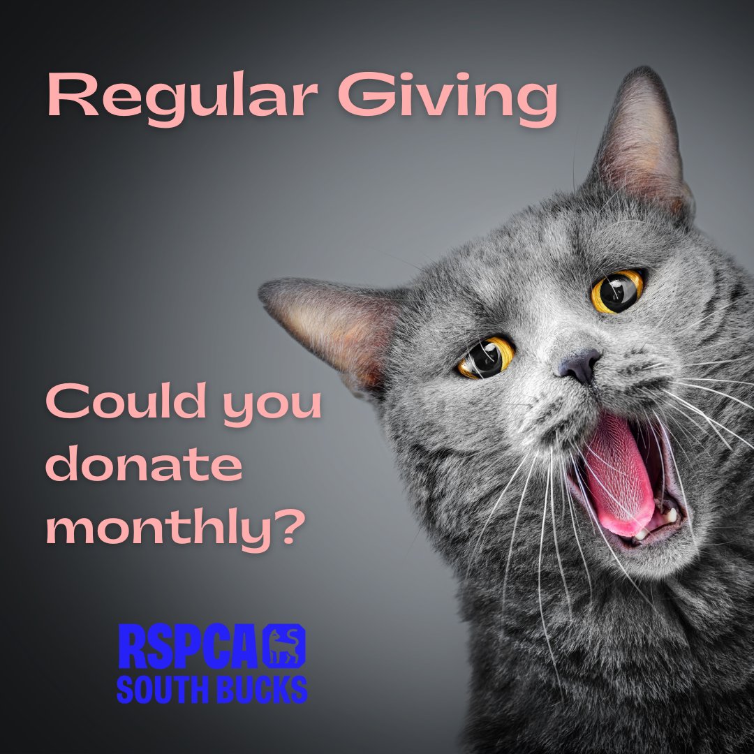 RSPCASouthBucks's tweet photo. Monthly donations give us a regular income and help us create a brighter future for animals in need. 
If you're able to help, please consider donating monthly  https://t.co/wWsESlTR5s 
With your help, we can end animal suffering in South Bucks. https://t.co/lPg27csfXL