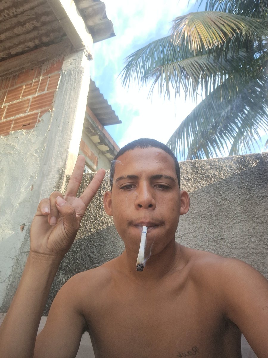 trem louco tweet media
