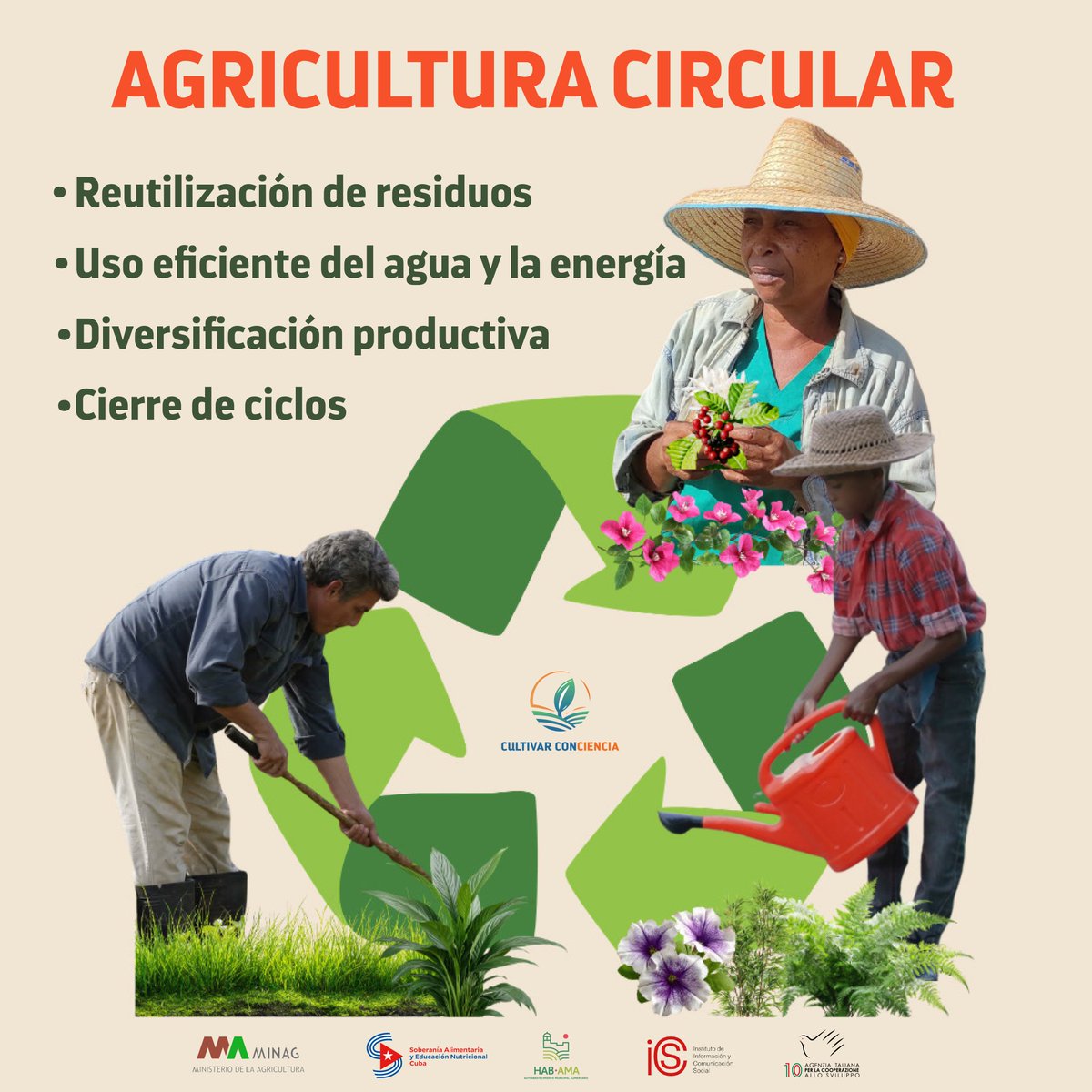 CultivaCiencia's tweet photo. La agricultura circular promueve sistemas productivos que funcionan en armonía con la naturaleza, evitando desperdicios, cerrando ciclos y aprovechando cada recurso de manera eficiente.   🌱♻️🥬🍅

#Cuba #CultivarConciencia https://t.co/oChBS87SiJ