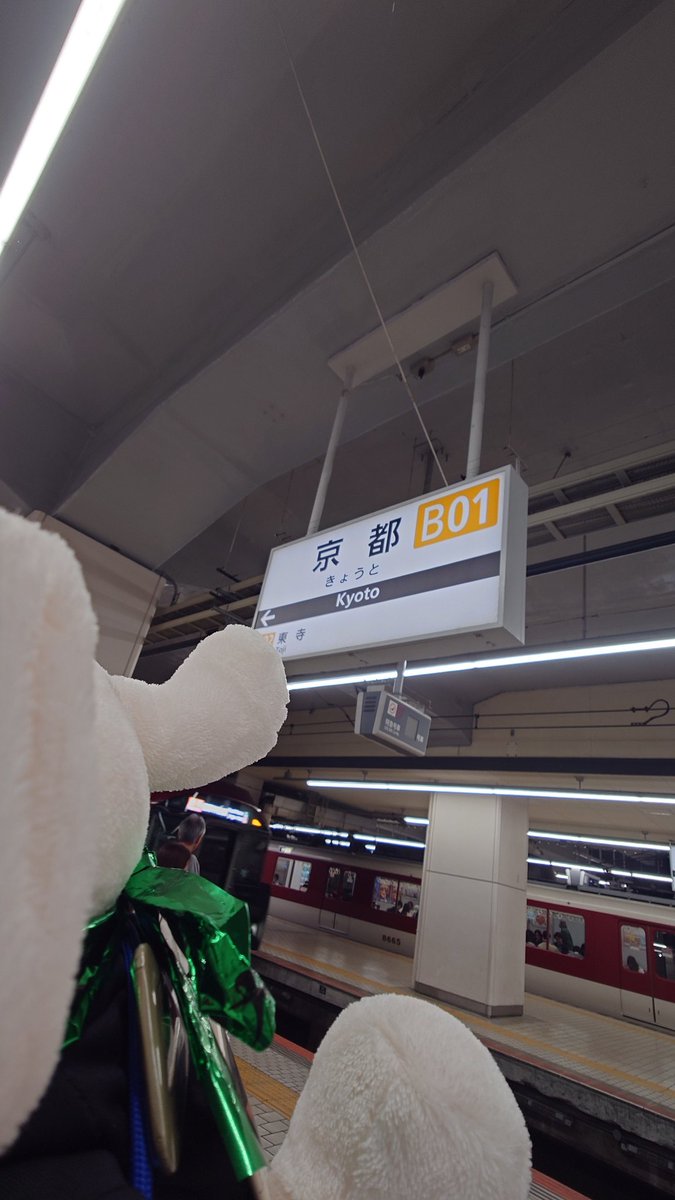 がんちゃん。 tweet media