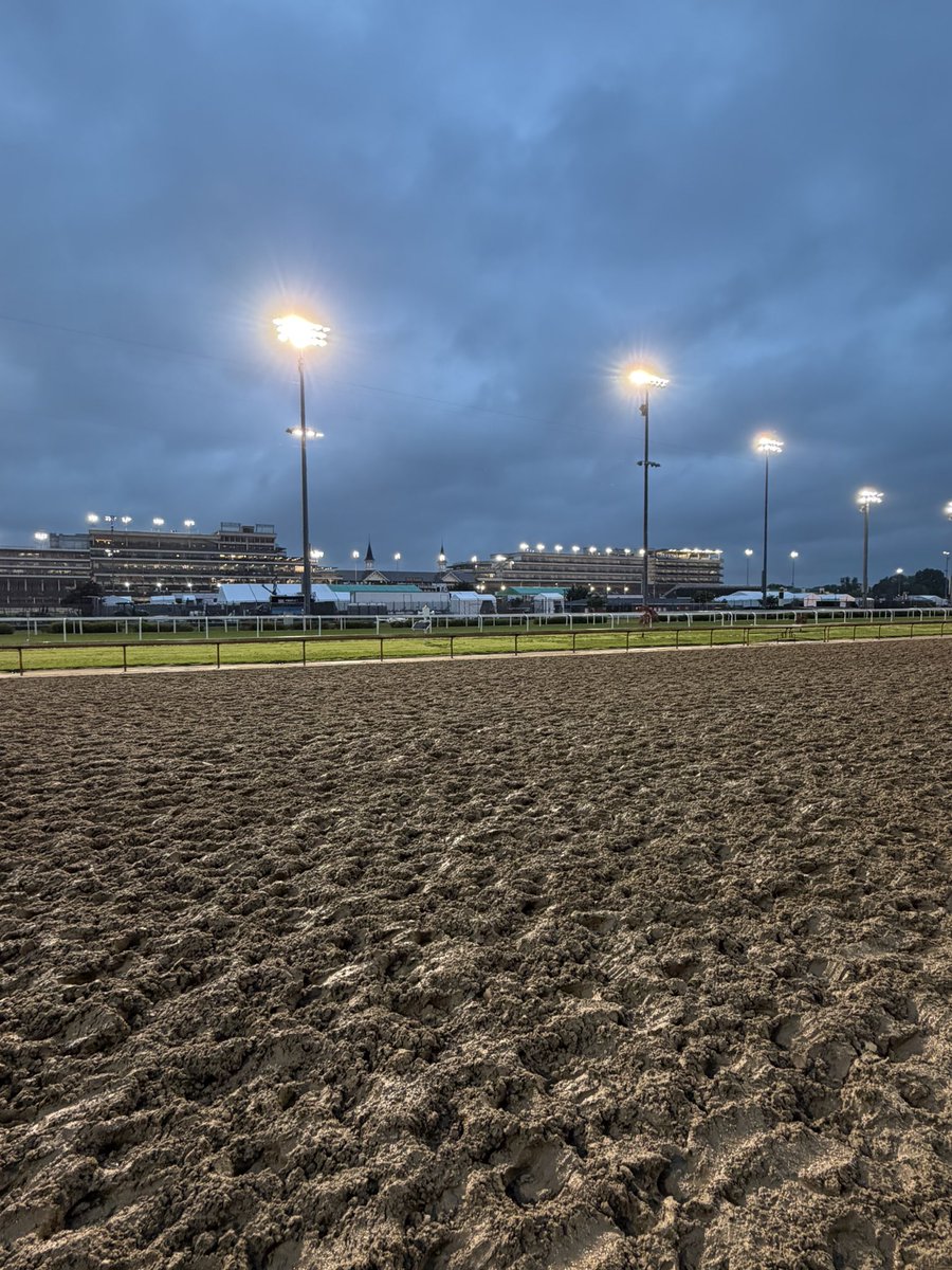 Lyndsey Gough tweet media