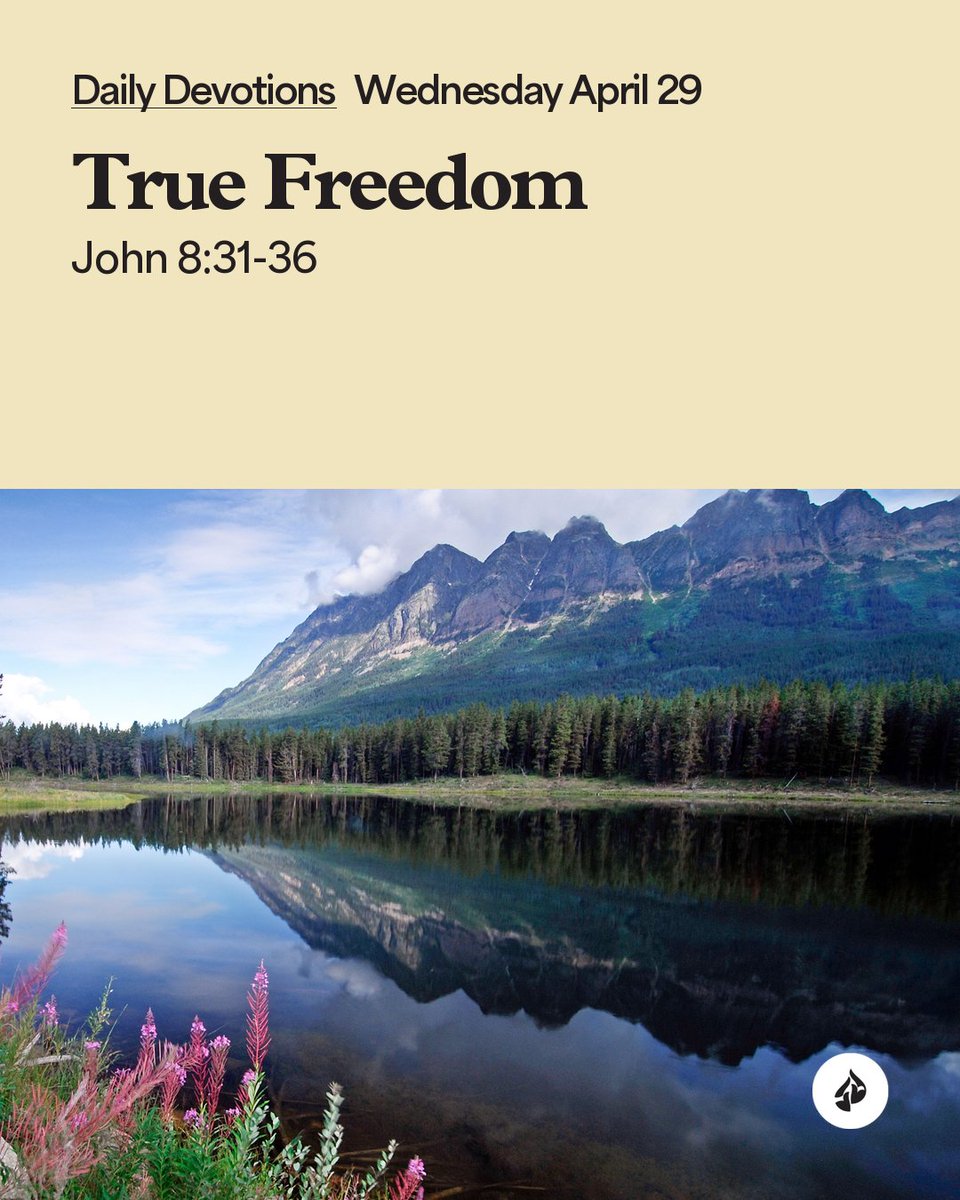 InTouchMin's tweet image. Have you accepted Jesus' free gift of salvation? His presence can change your life.#Devotional
intouch.org/read/daily-dev…