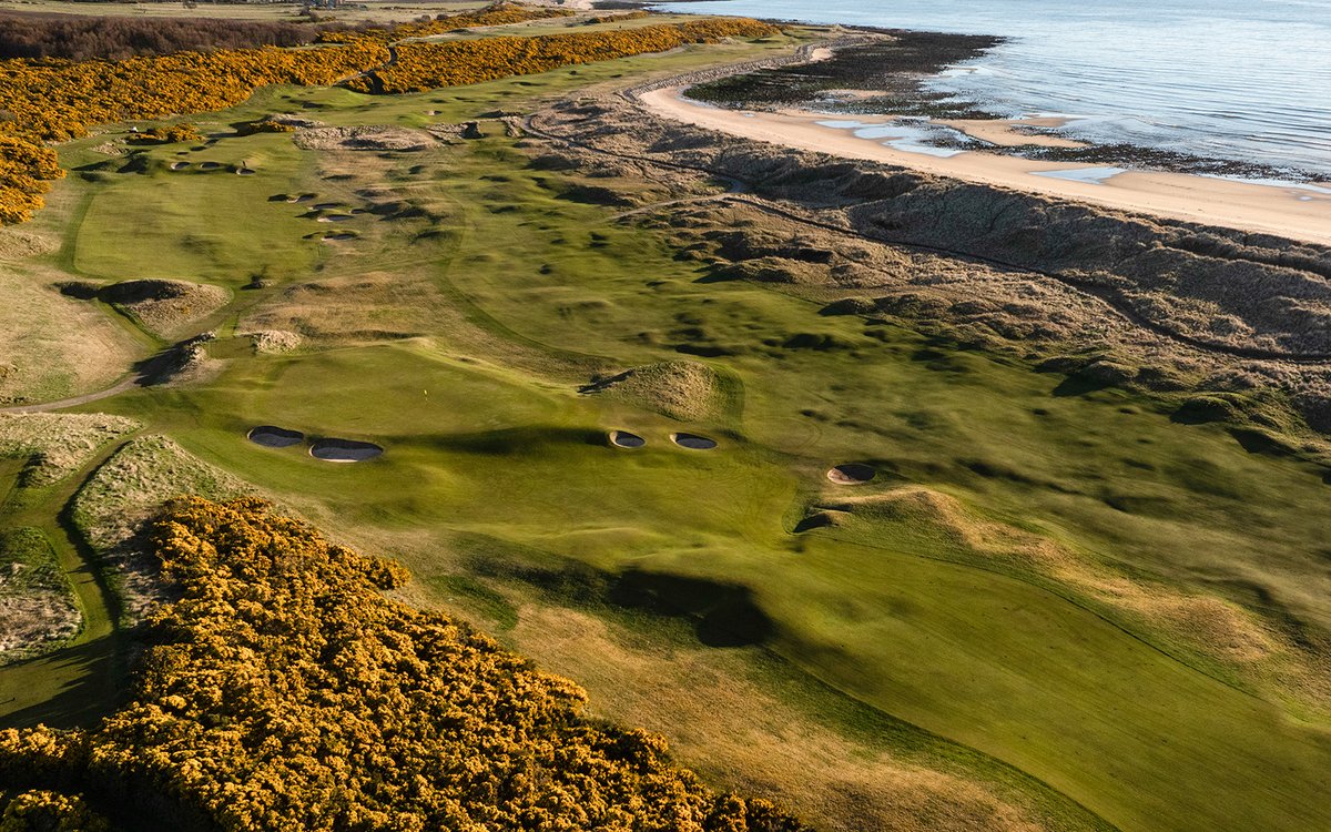 Royal Dornoch tweet media