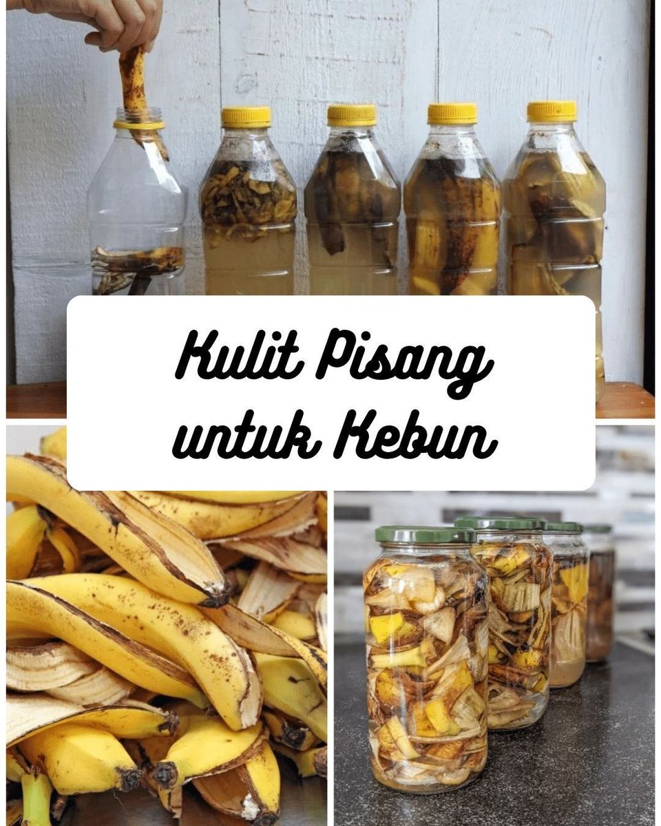 NutaniMan tweet media