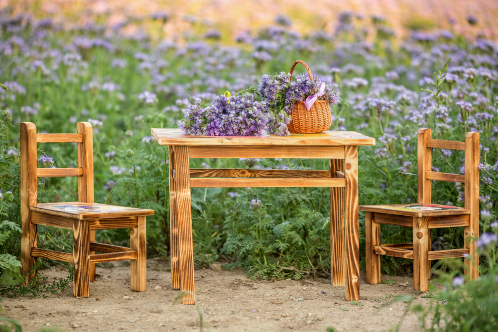 Beth Frates MD tweet media