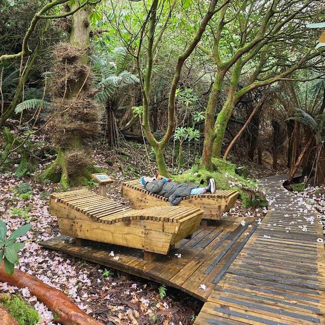 Vialii's tweet photo. We recently visited beautiful Arran and spent a lovely afternoon in Brodick Castle gardens as plant hunters and forest bathers. Read on to find out more and to listen a wonderful tune by our wee Tilda...
https://t.co/W0OIQ8xfef 
#VisitArran
#NTS
#NationalTrustForScotland https://t.co/QNcS8sgTDQ