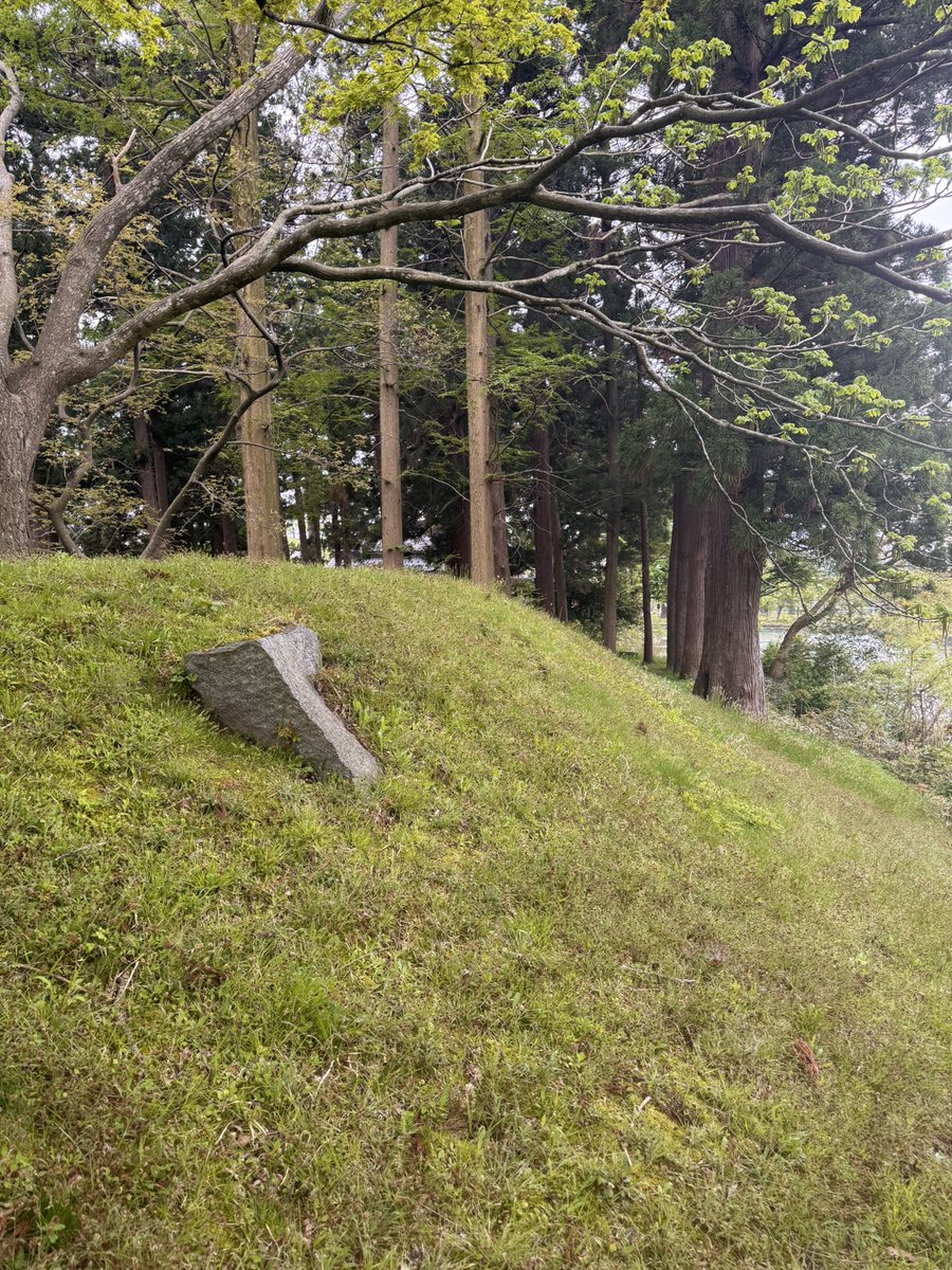 雲黒斎@信長の野望 出陣 tweet media