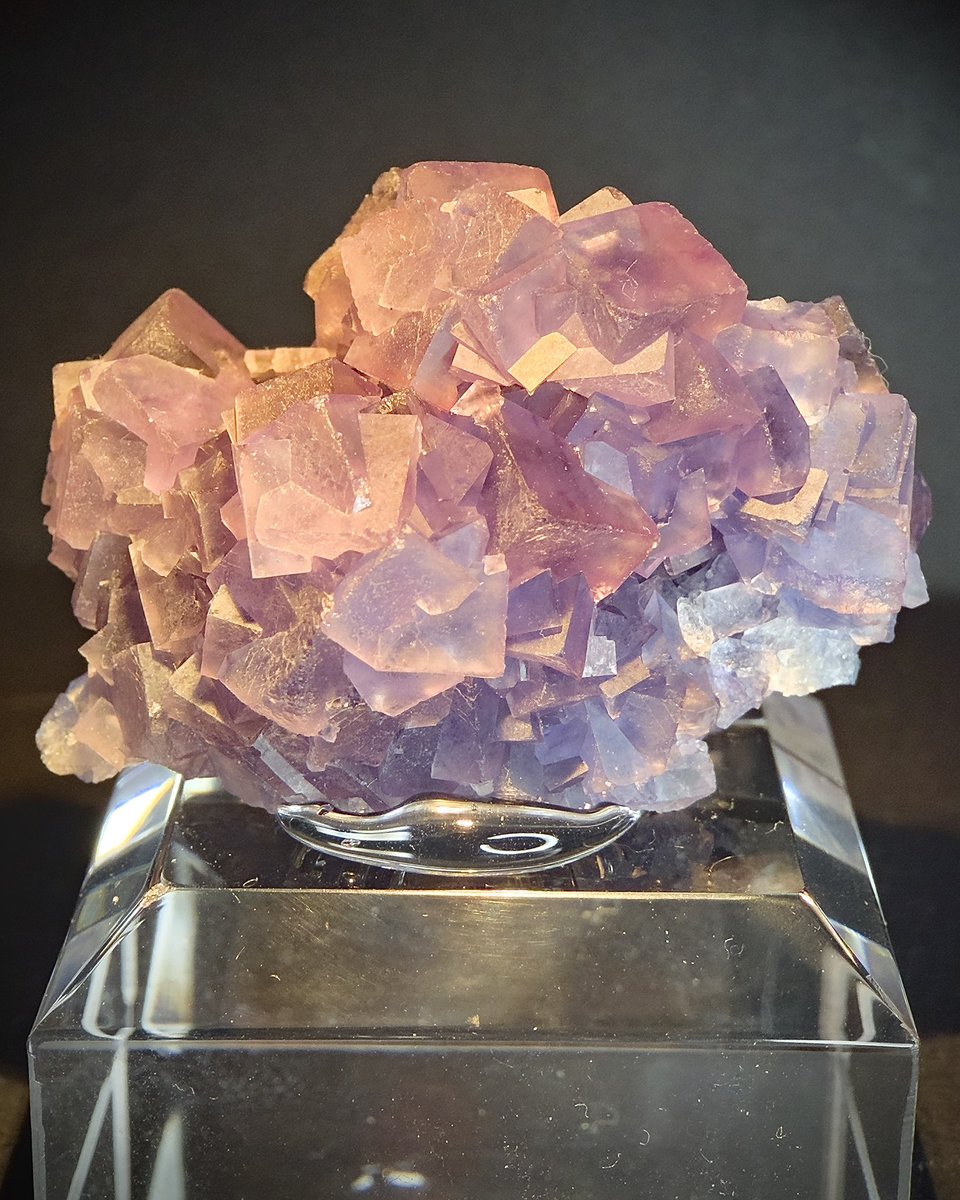 fuyumi❄️ tweet media