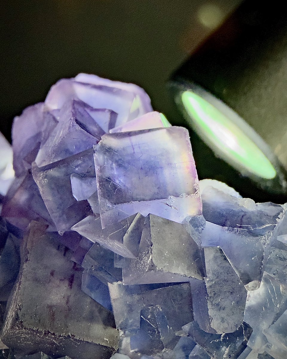 fuyumi❄️ tweet media