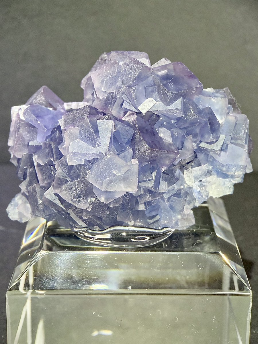 fuyumi❄️ tweet media