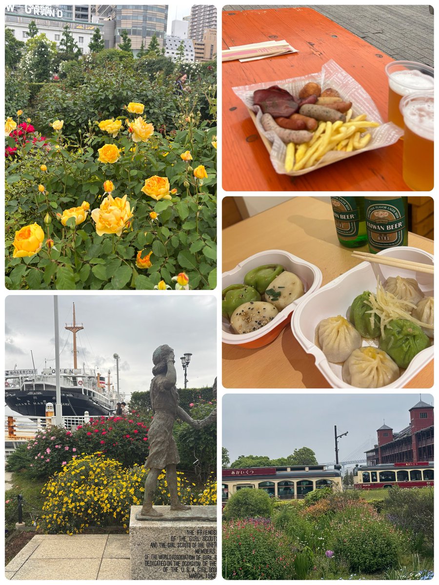 チャム🐘🌾 tweet media