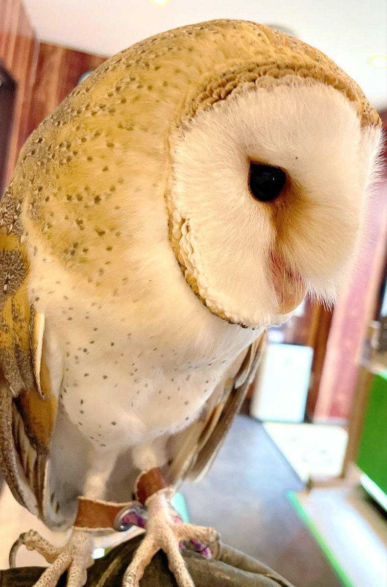 🌻りのあ🌻 tweet media