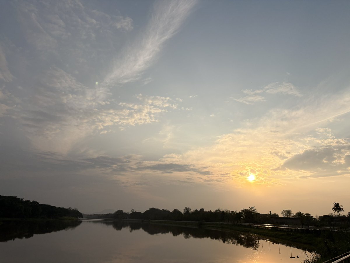 𝙰𝚁𝚂 tweet media