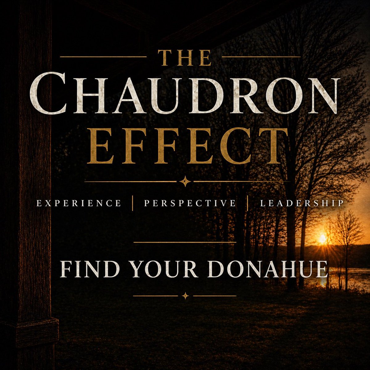 The Chaudron Effect tweet media