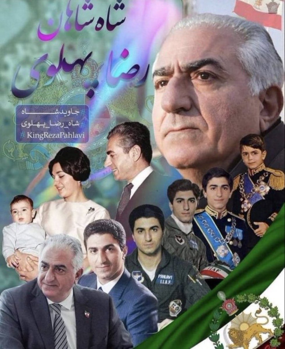 Shima Moein tweet media