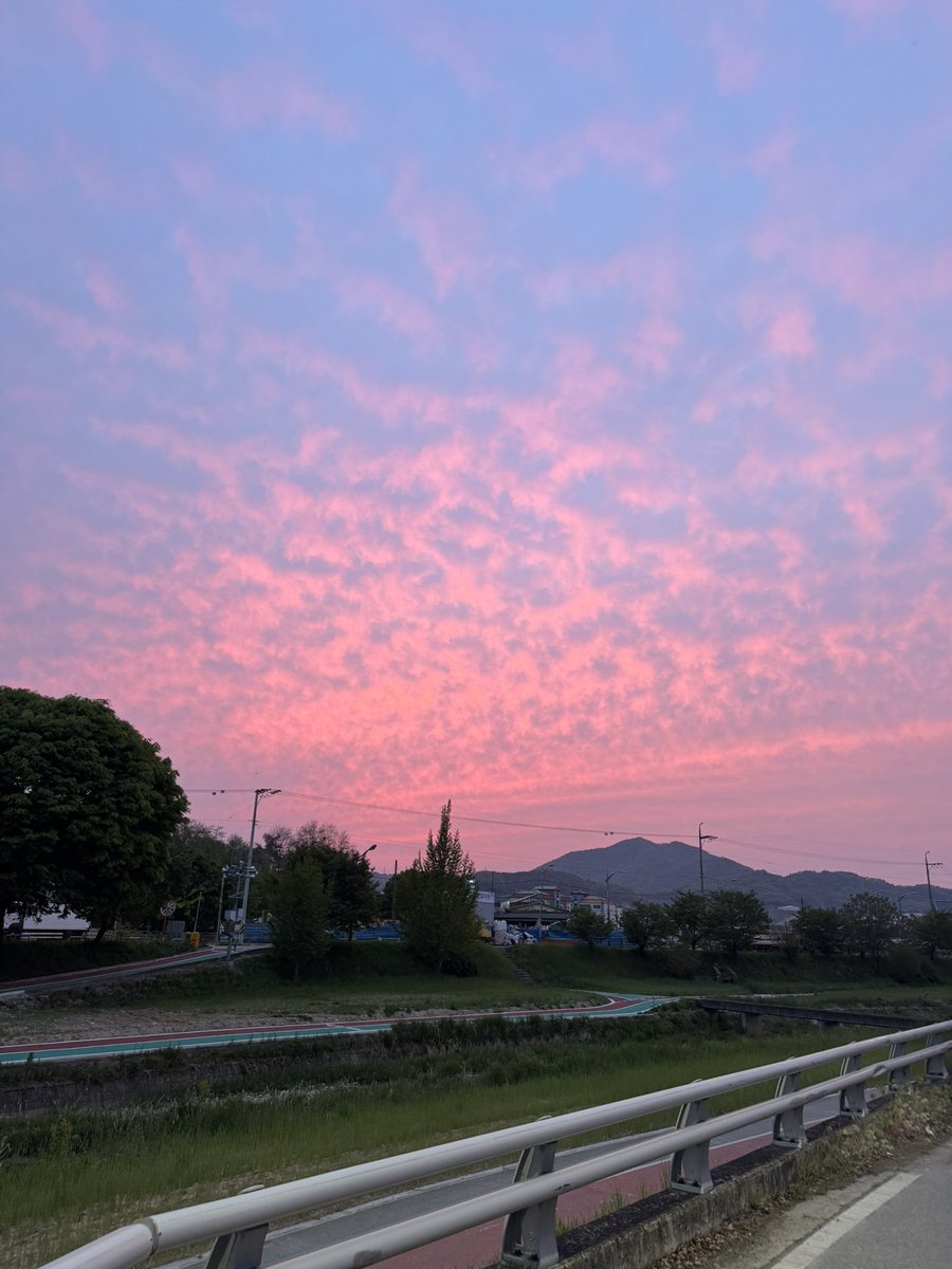 우비이 tweet media