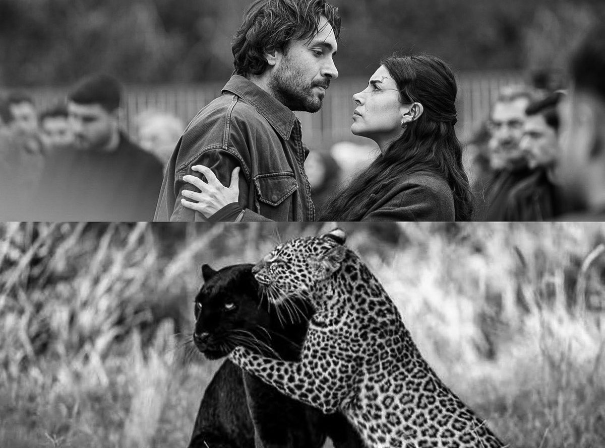 𝖤𝗌𝗋𝖺𝖺 tweet media