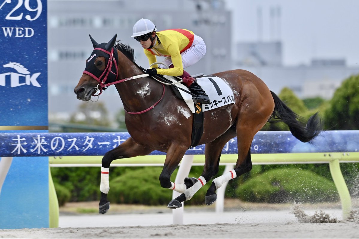 福田真広厩舎 / 大井競馬場小林分場 tweet media