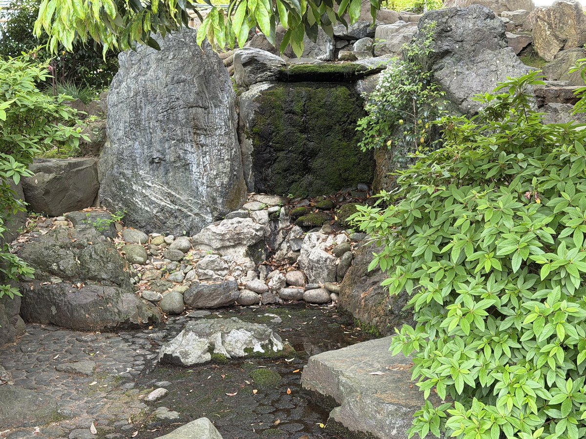 紫苑【sion】 tweet media