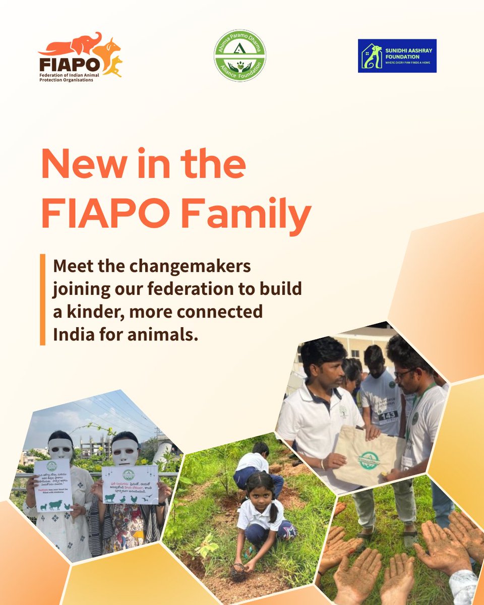 FIAPOIndia's tweet photo. Animal protection in India is growing, but many orgs still rebuild from scratch. Welcoming Sunidhi Aashray Foundation in Malvan and Ahimsa Paramo Dharma Alliance in Hyderabad to FIAPO, driving consistent, on-ground impact. Join us. 

#AnimalWelfare #FIAPOIndia #AnimalProtection https://t.co/WmGDsAgcG7