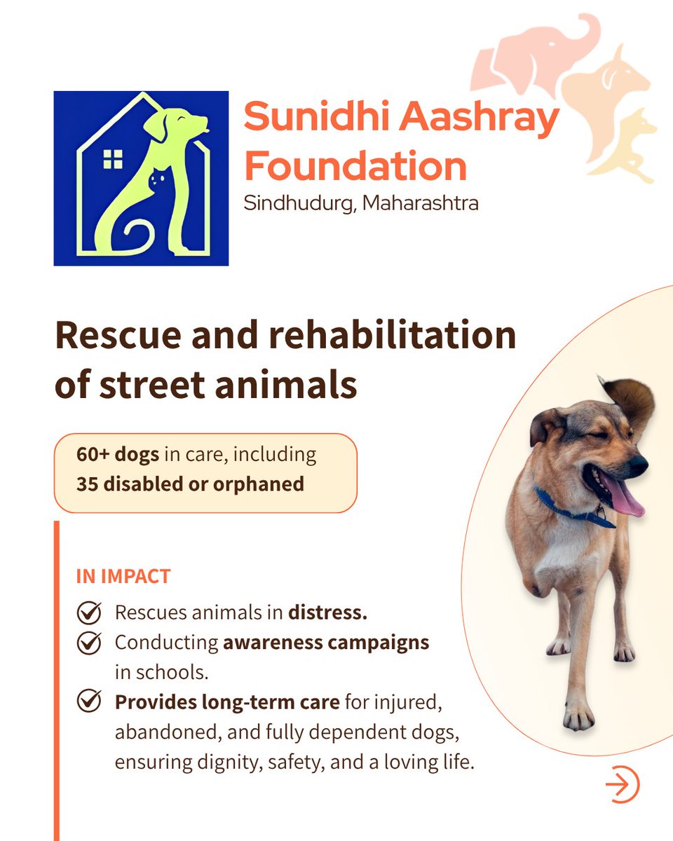 FIAPOIndia's tweet photo. Animal protection in India is growing, but many orgs still rebuild from scratch. Welcoming Sunidhi Aashray Foundation in Malvan and Ahimsa Paramo Dharma Alliance in Hyderabad to FIAPO, driving consistent, on-ground impact. Join us. 

#AnimalWelfare #FIAPOIndia #AnimalProtection https://t.co/WmGDsAgcG7