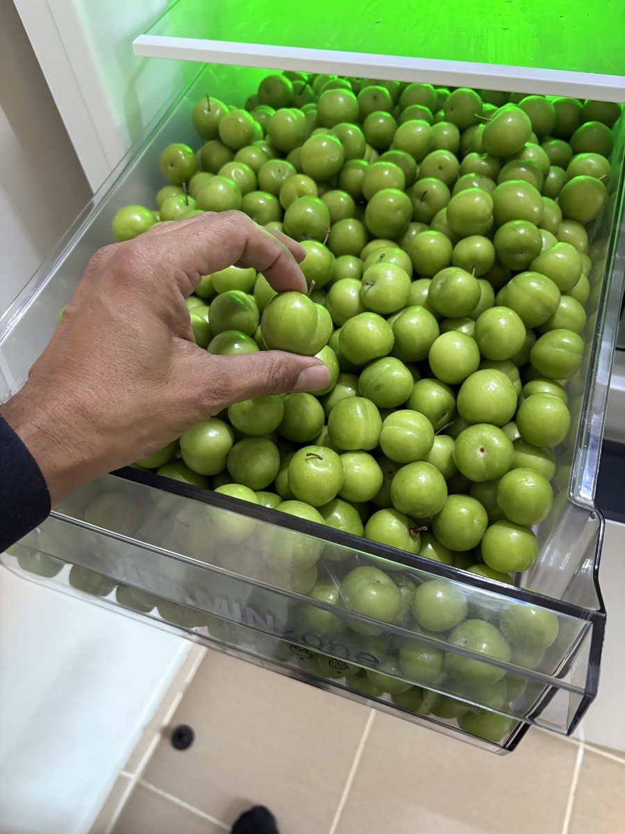 Mersinli Alonzo Harris İstanbul Beyefendisi tweet media