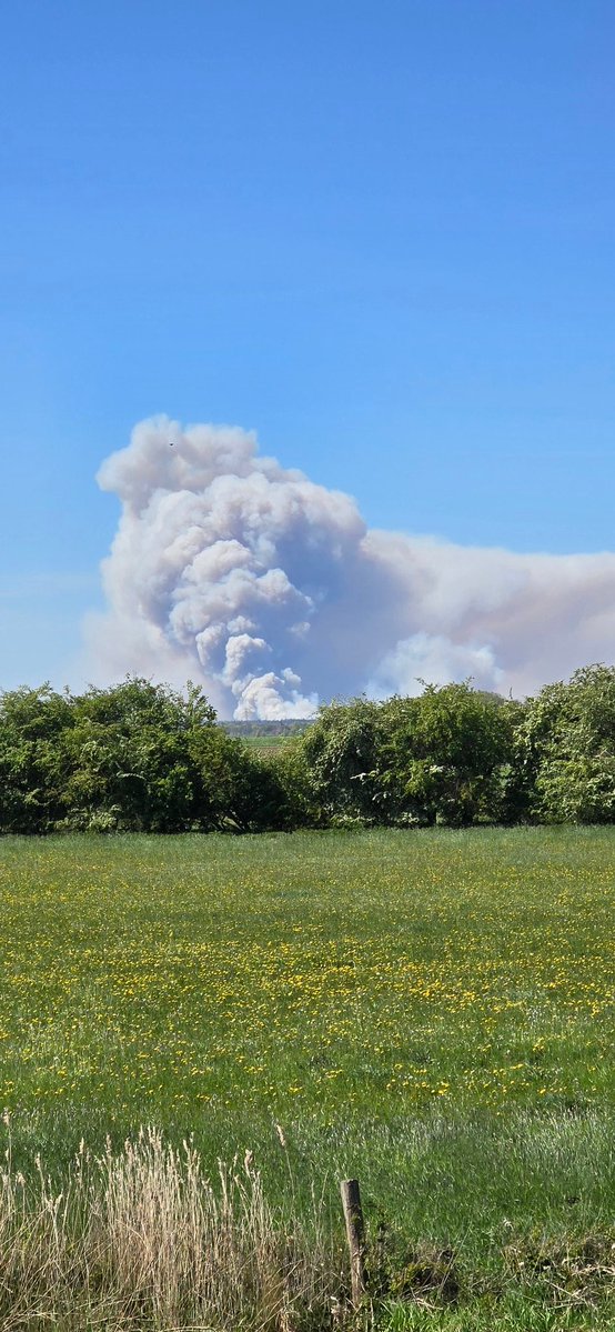 moonaaa's tweet image. Overkant van de ijssel . Er staat een harde wind. Dat helpt niet.  #brand #veluwe