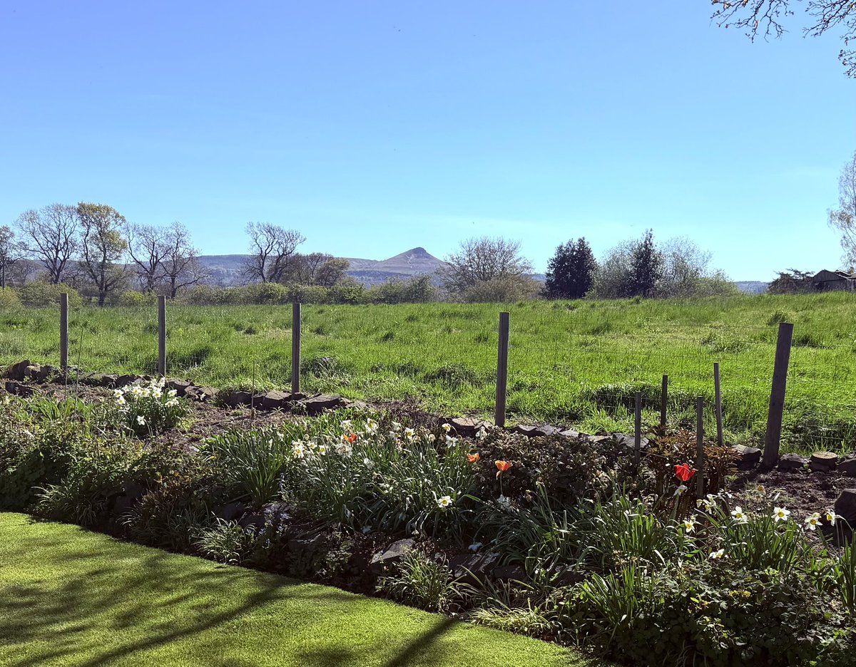 Mieka Smiles tweet media