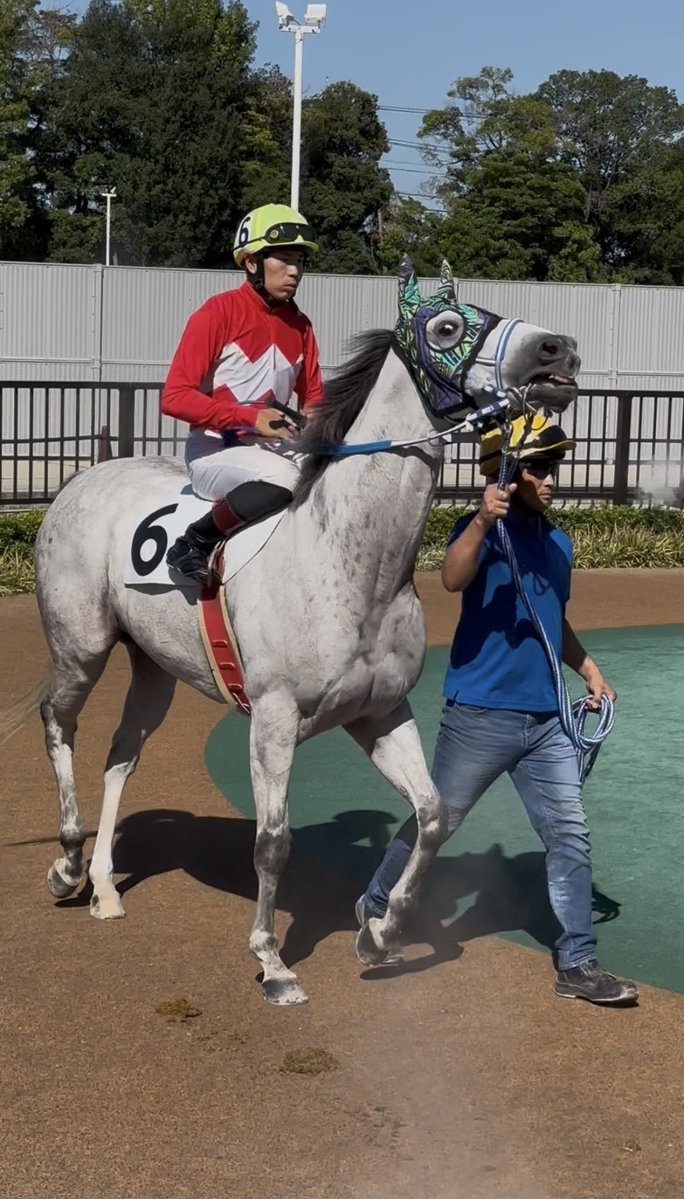 HanaMano tweet media