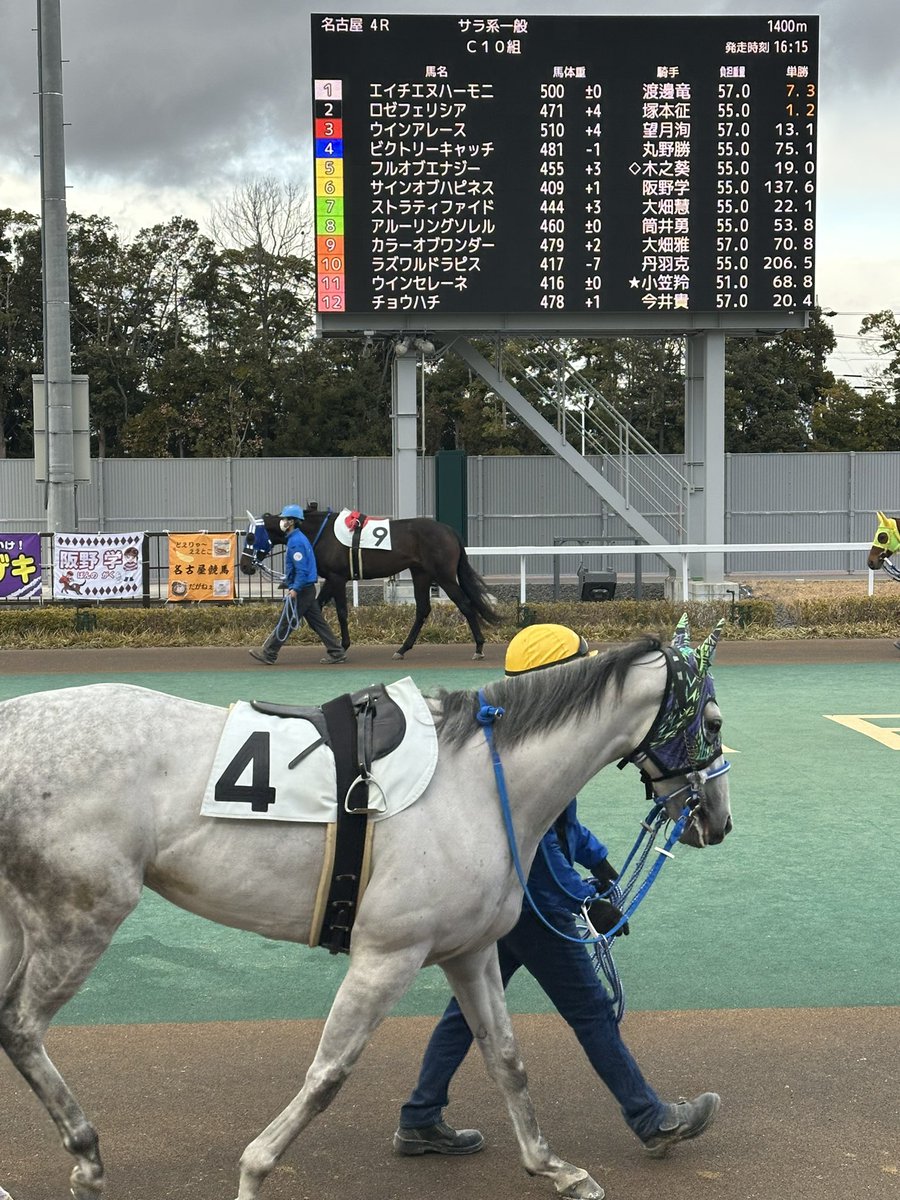 HanaMano tweet media