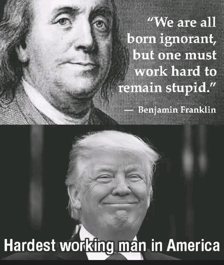 Mark E. Scott tweet media