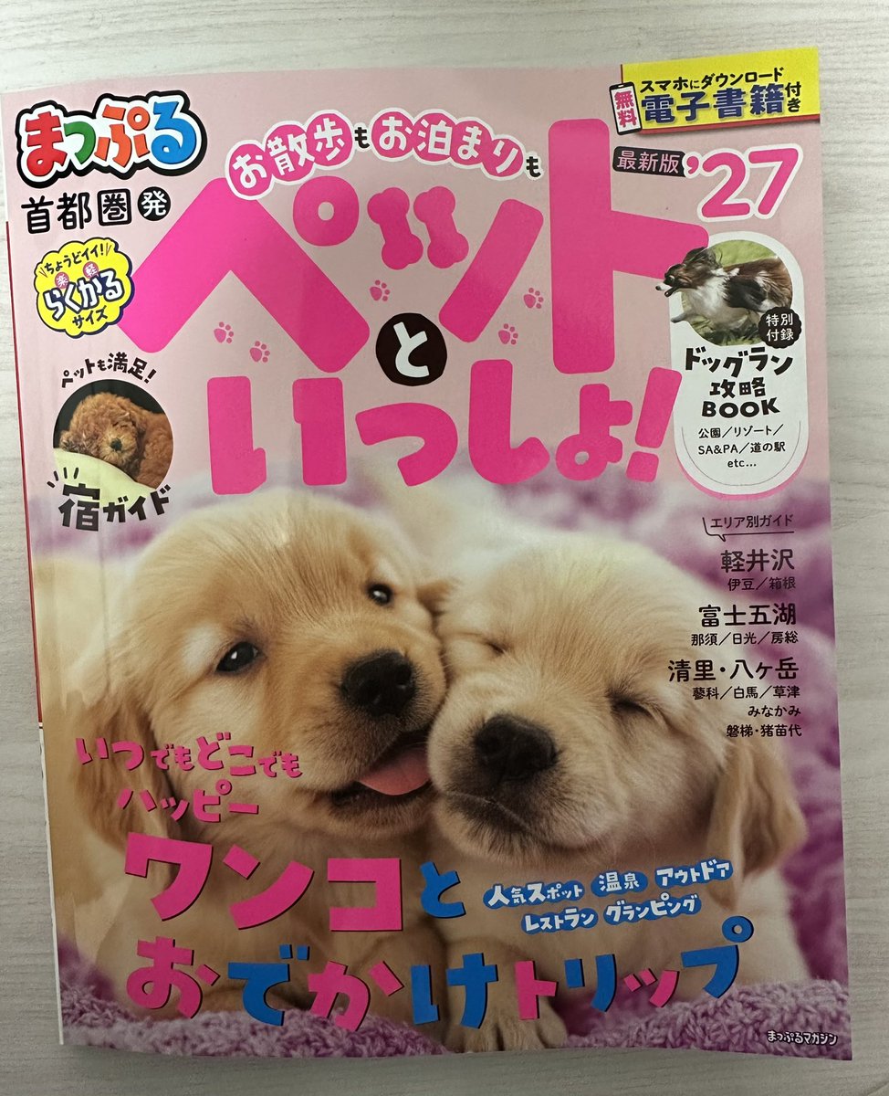 内山 えみ🐾 tweet media