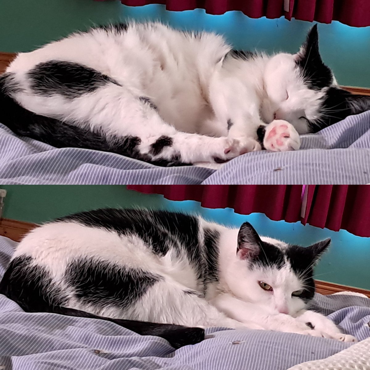 Danny Kelly tweet media