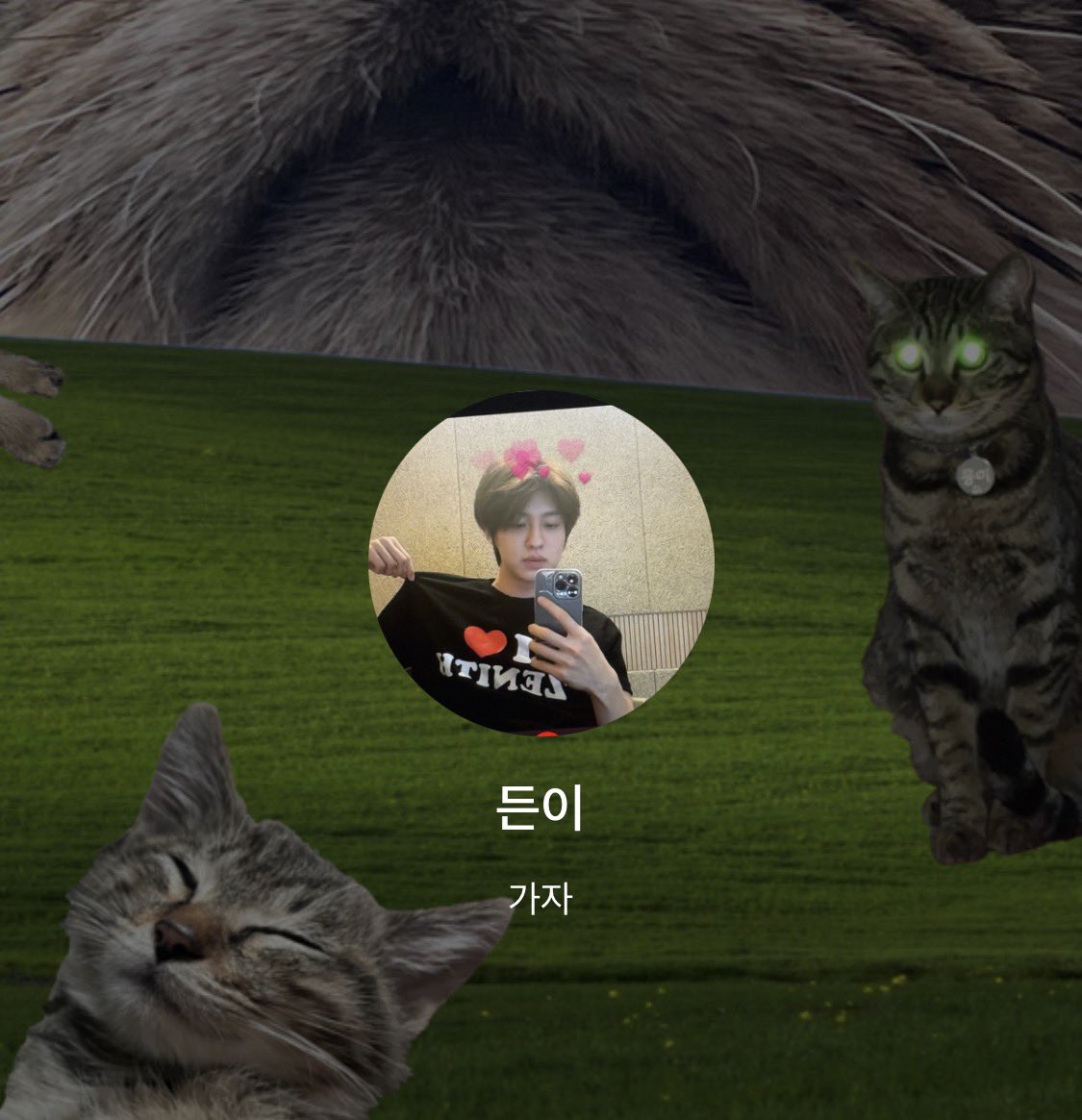 치 tweet media