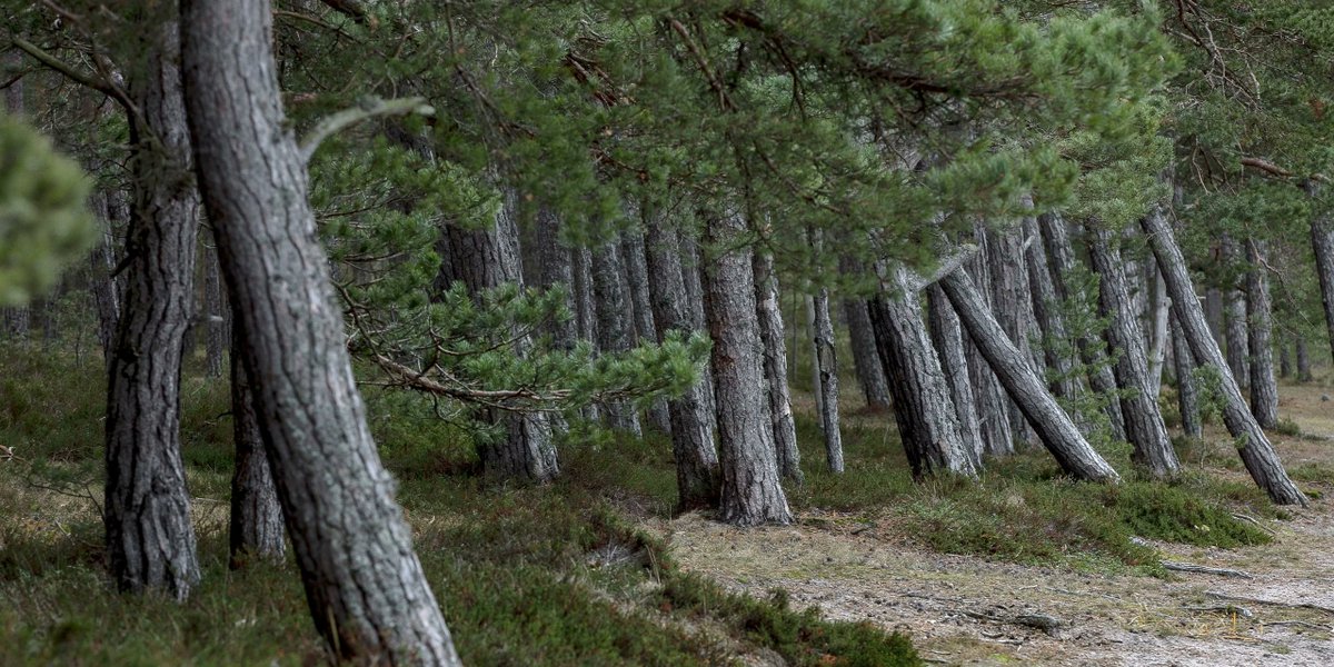 europawire's tweet image. Gasum Advances LNG and Biogas Expansion While Navigating Challenging Energy Market Conditions in Early 2026 news.europawire.eu/gasum-reports-…

@GasumGlobal #marketing #investment #financial #economic #energy