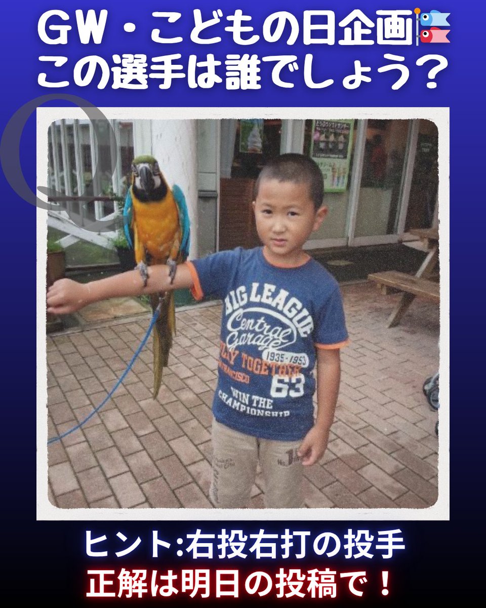 【公式】宮崎サンシャインズ tweet media
