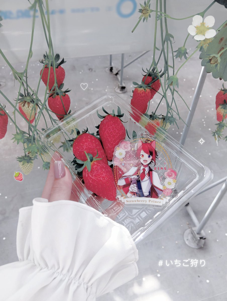ゆ~め🎀♡ tweet media
