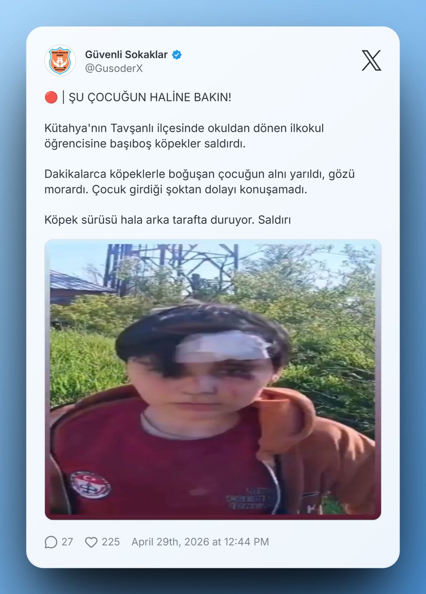 Güvenli Sokaklar tweet media