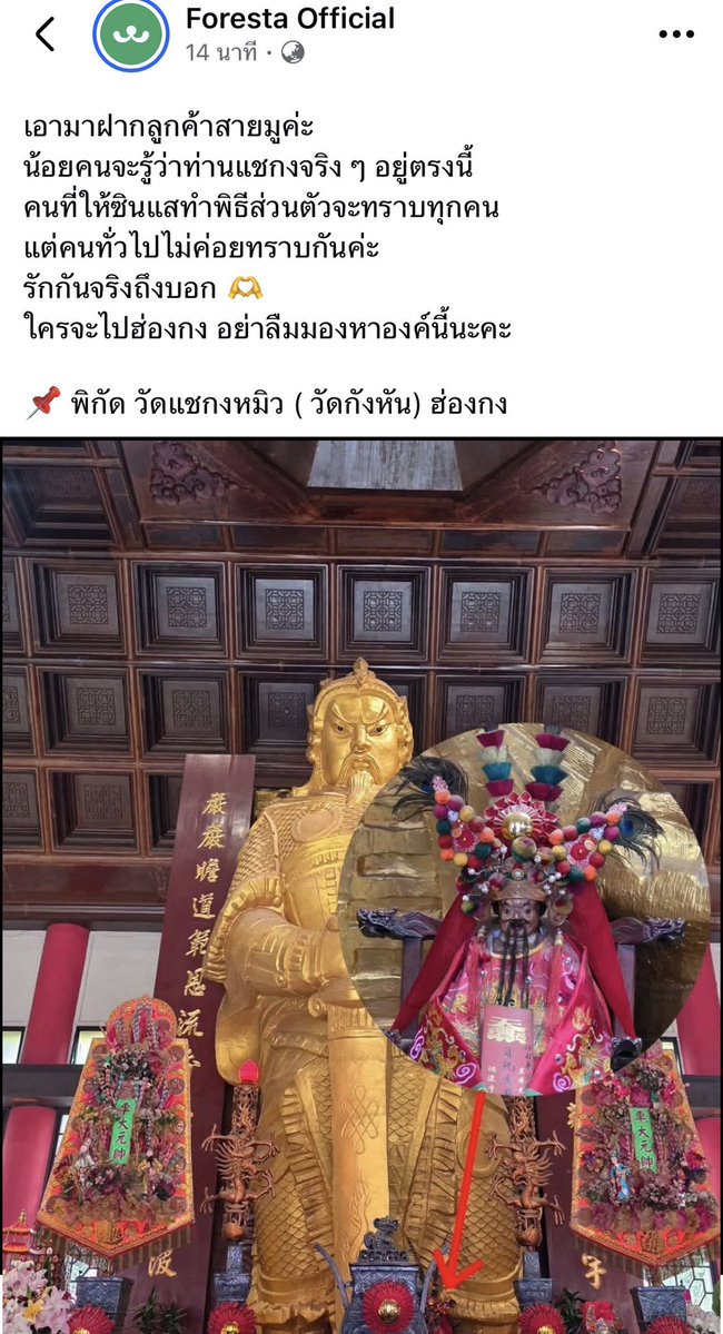 ลินไทยเปย์✨ tweet media