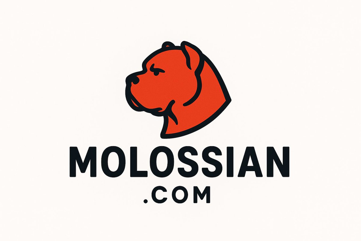 CertNames's tweet image. Molossian.com

Full of power, majestic, with holy patience, and very faithful, a true loyal defender, a master of martial arts, the rock. You can always count on him.

#guard #protect #care #secure #insure #insurance #safe #protector #guardian #safeguard #shield #VC