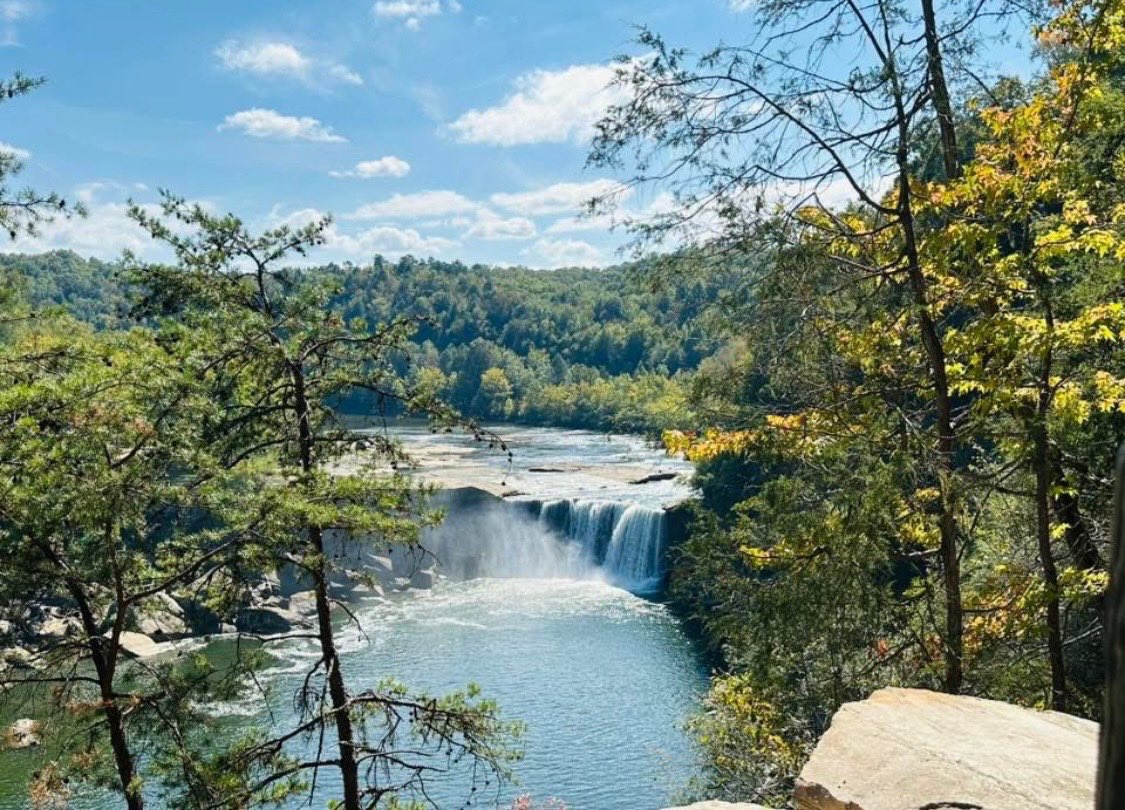 DMontana tweet media