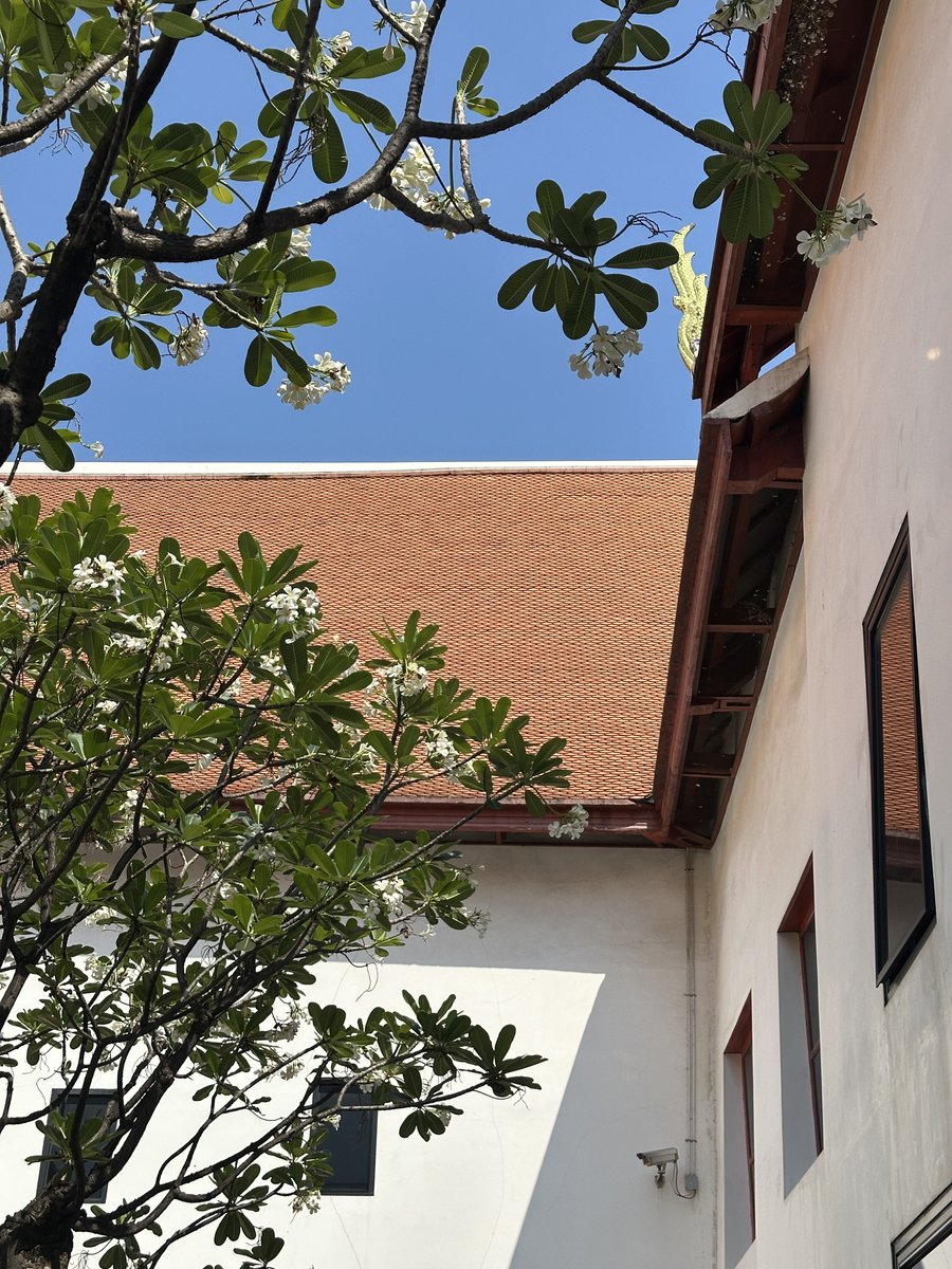 เชื่อน้อง ลองให้แล้ว tweet media