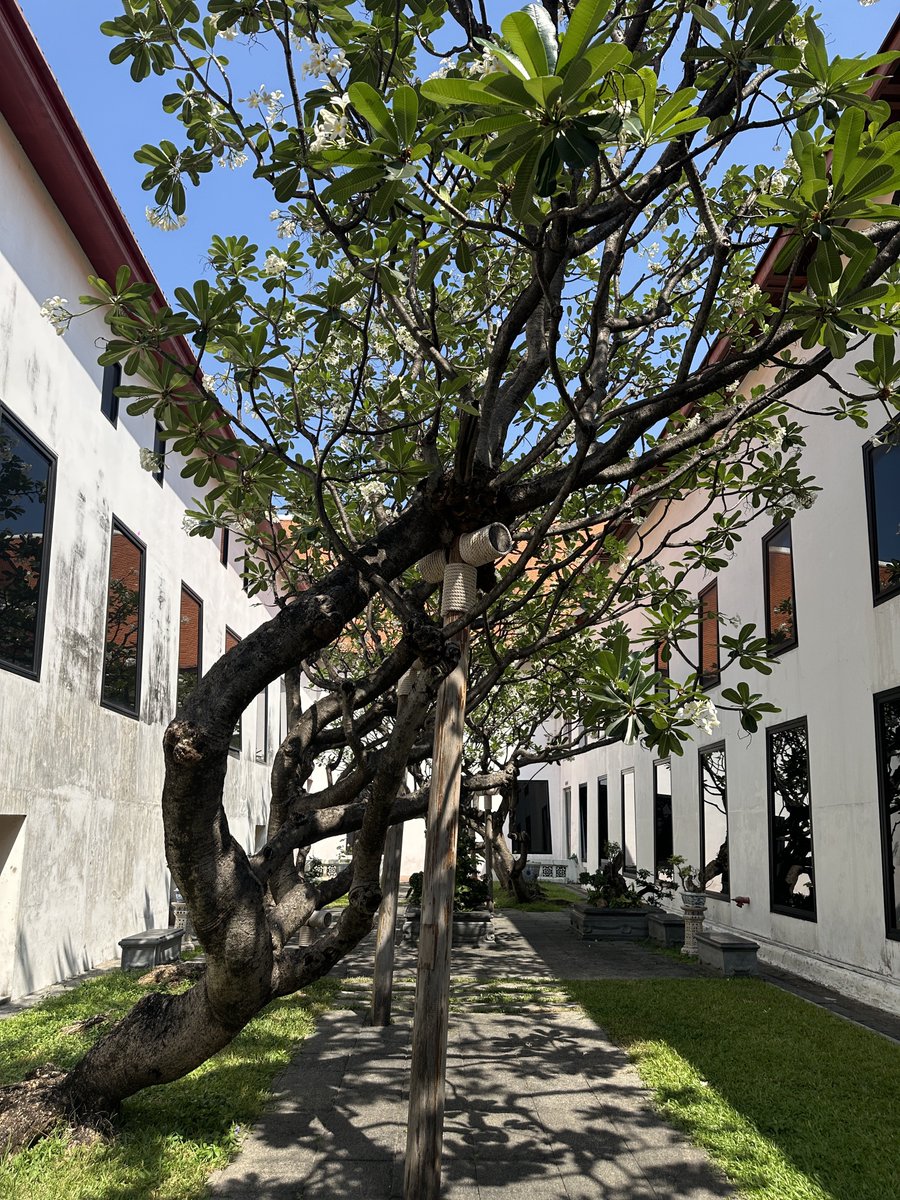 เชื่อน้อง ลองให้แล้ว tweet media