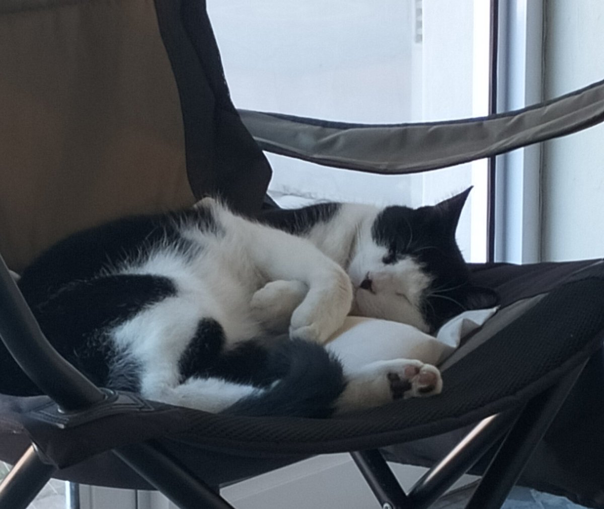 Tuff life.