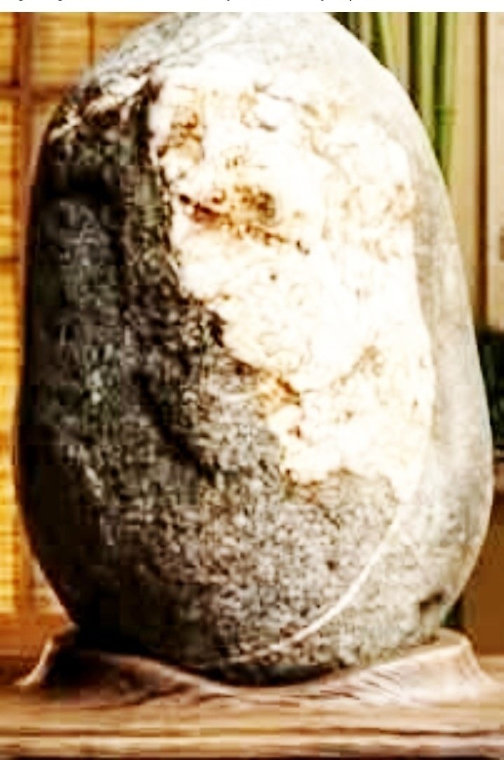 Spirit Realm tweet media