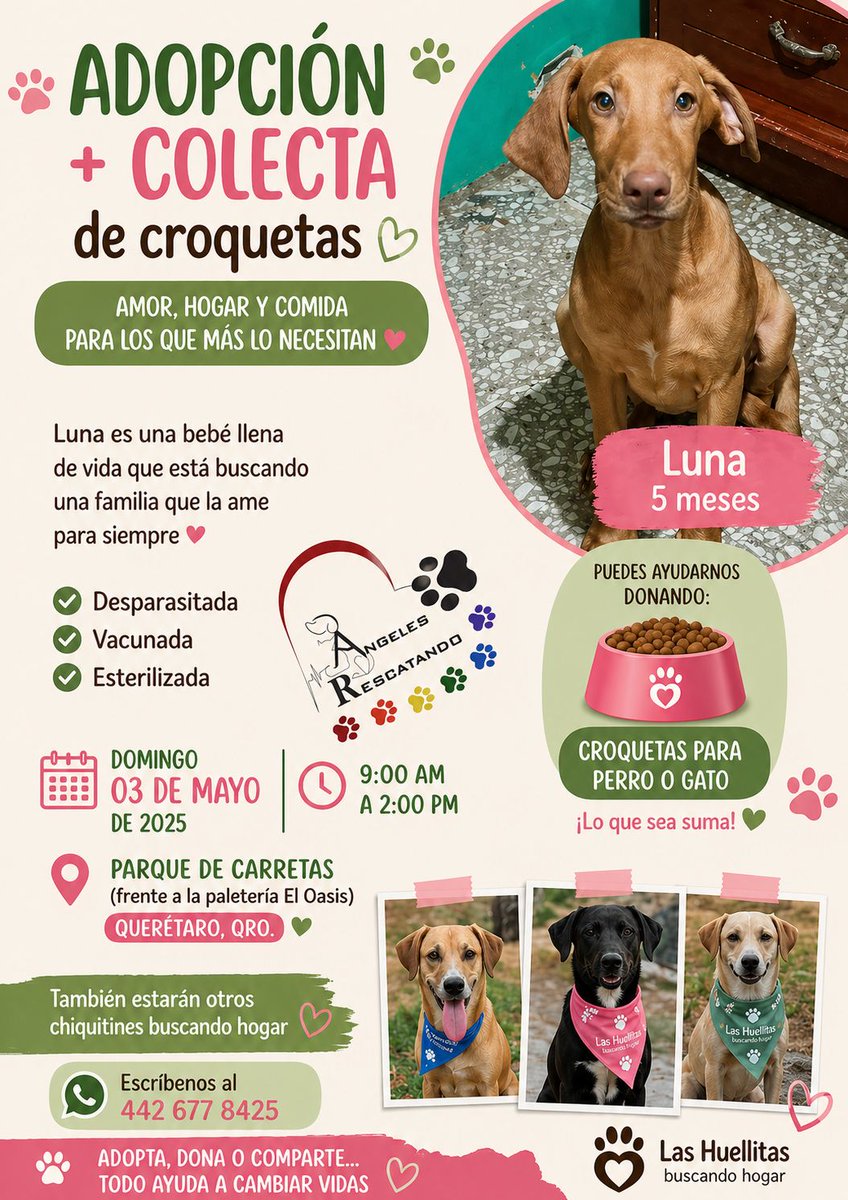 Paulina Silva tweet media