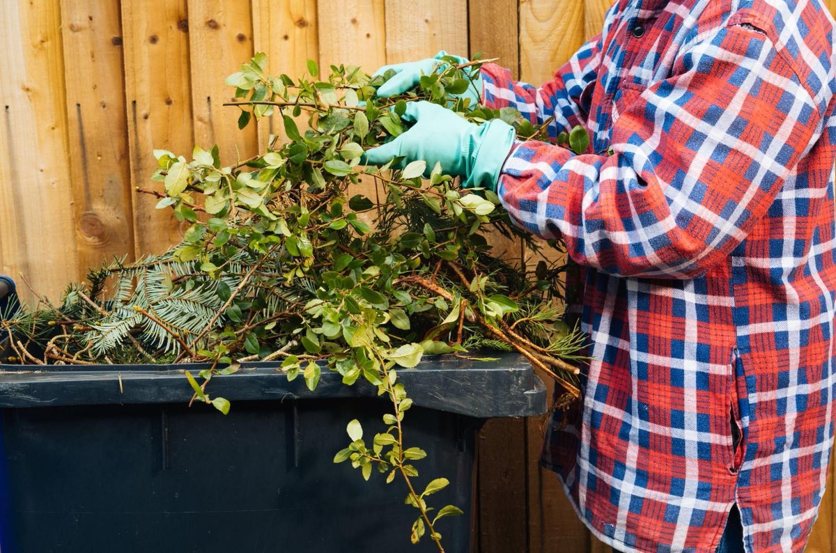 1ManAndALadybug's tweet image. Your pest control checklist should start outdoors.

✔ Yard debris.
✔ Entry points.
✔ Rooflines.

Which area of your property needs attention this spring?

Full article here buff.ly/zM9uayX 

#HomeMaintenance #PestPrevention