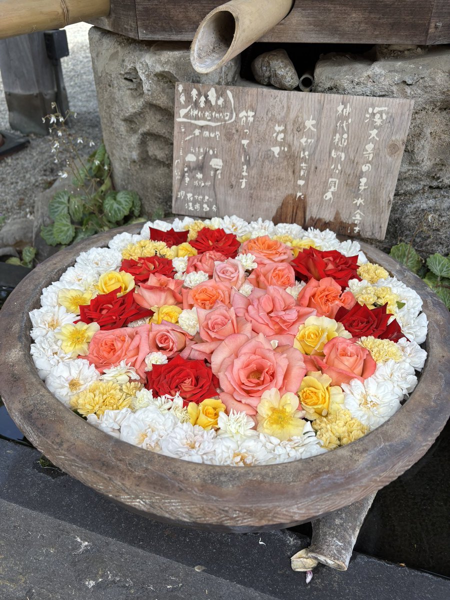 うたこ（UTAKO） tweet media