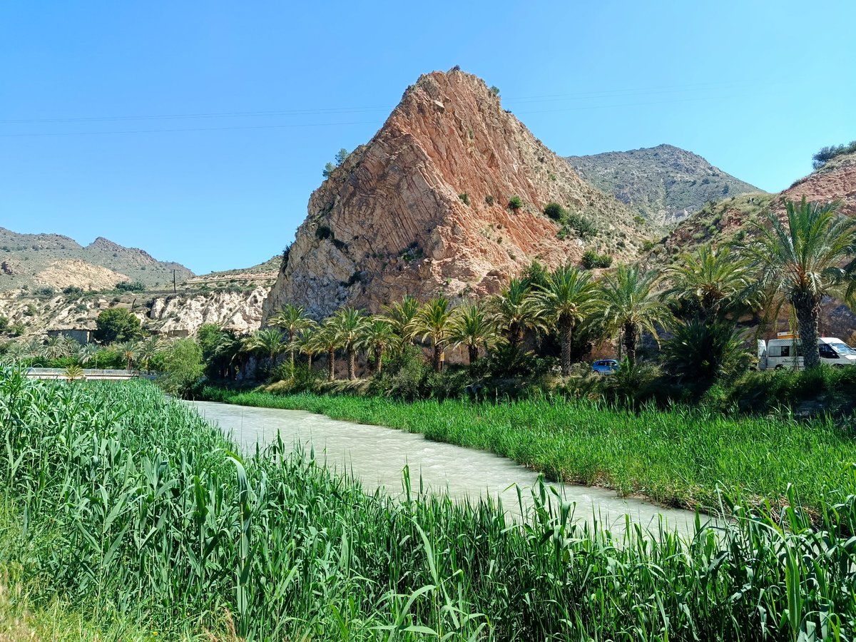 andre29007's tweet photo. Había una vez un valle lleno de verde y de palmeras...#Murcia https://t.co/61QZKZawXq