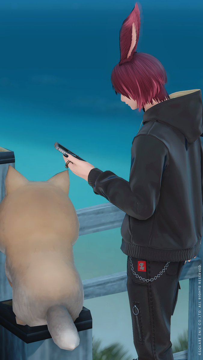 caluabell's tweet photo. フーディーかわいい(*・(ｴ)・*) https://t.co/hKUmknLtWb
